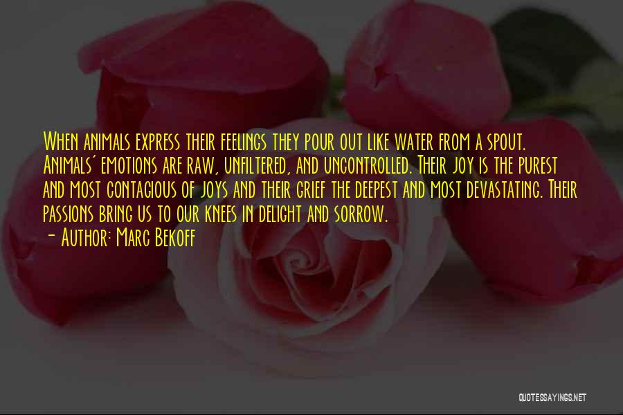 Marc Bekoff Quotes: When Animals Express Their Feelings They Pour Out Like Water From A Spout. Animals' Emotions Are Raw, Unfiltered, And Uncontrolled.