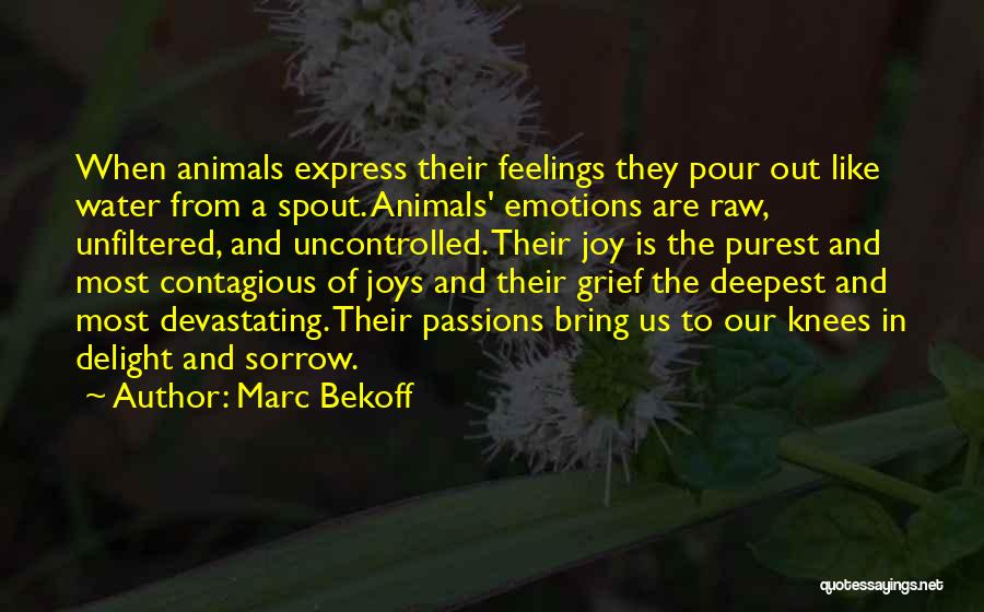 Marc Bekoff Quotes: When Animals Express Their Feelings They Pour Out Like Water From A Spout. Animals' Emotions Are Raw, Unfiltered, And Uncontrolled.