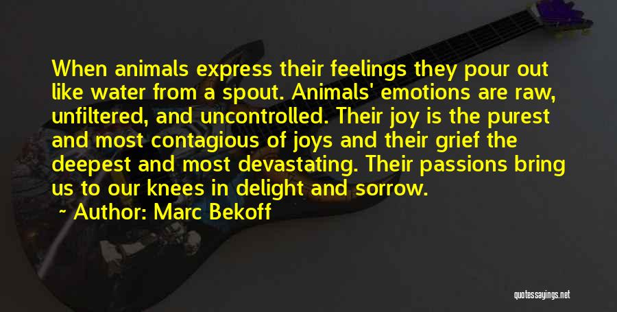 Marc Bekoff Quotes: When Animals Express Their Feelings They Pour Out Like Water From A Spout. Animals' Emotions Are Raw, Unfiltered, And Uncontrolled.