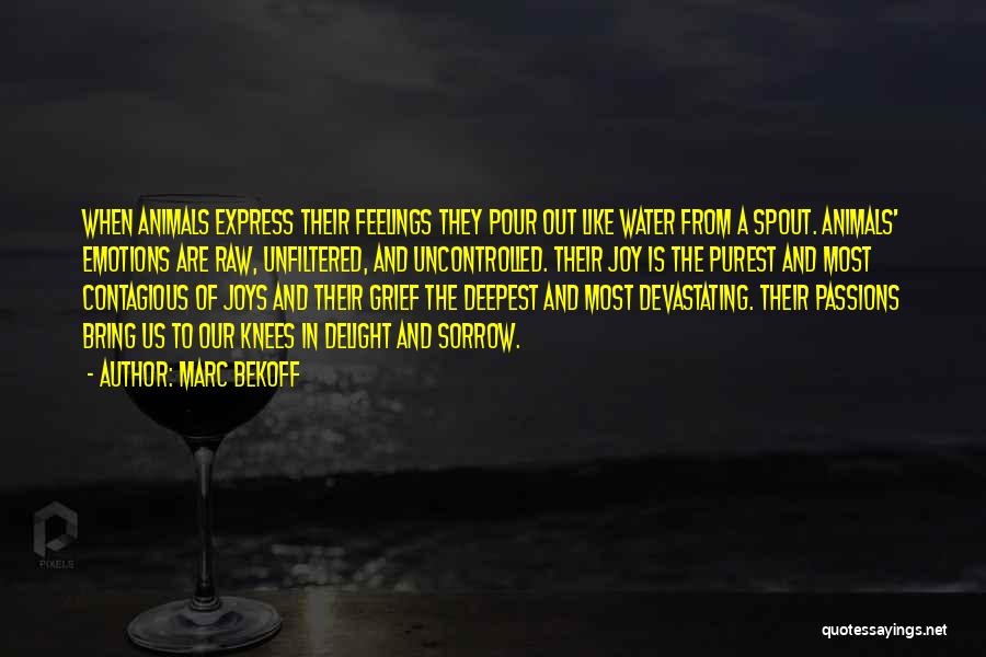 Marc Bekoff Quotes: When Animals Express Their Feelings They Pour Out Like Water From A Spout. Animals' Emotions Are Raw, Unfiltered, And Uncontrolled.