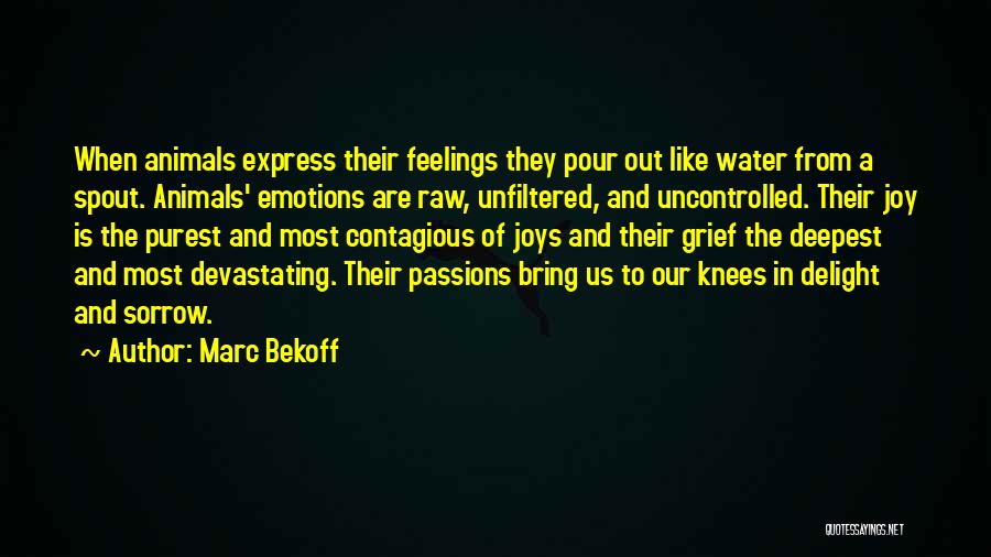 Marc Bekoff Quotes: When Animals Express Their Feelings They Pour Out Like Water From A Spout. Animals' Emotions Are Raw, Unfiltered, And Uncontrolled.