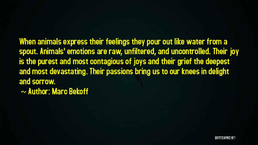 Marc Bekoff Quotes: When Animals Express Their Feelings They Pour Out Like Water From A Spout. Animals' Emotions Are Raw, Unfiltered, And Uncontrolled.