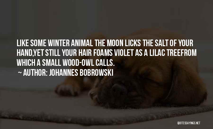 Johannes Bobrowski Quotes: Like Some Winter Animal The Moon Licks The Salt Of Your Hand,yet Still Your Hair Foams Violet As A Lilac