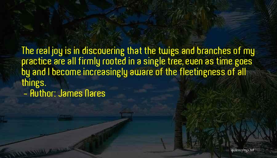 James Nares Quotes: The Real Joy Is In Discovering That The Twigs And Branches Of My Practice Are All Firmly Rooted In A