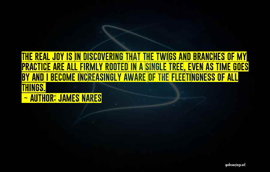 James Nares Quotes: The Real Joy Is In Discovering That The Twigs And Branches Of My Practice Are All Firmly Rooted In A