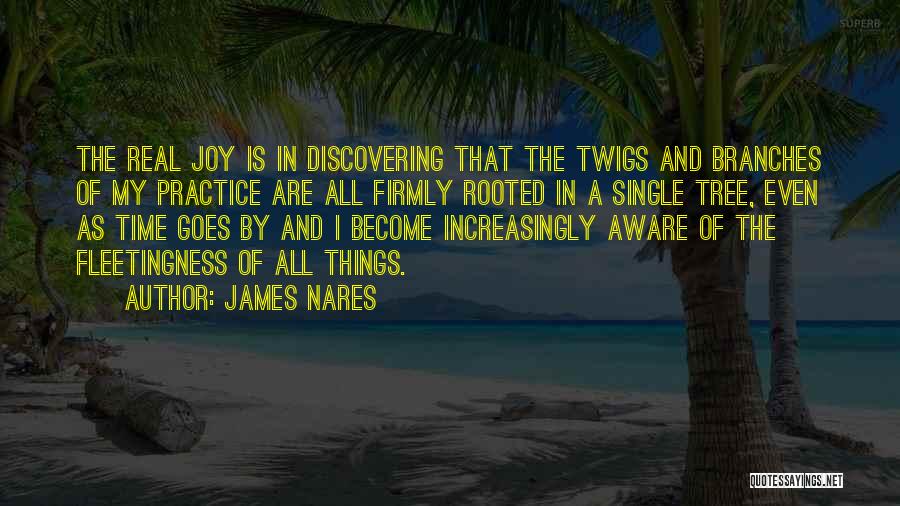 James Nares Quotes: The Real Joy Is In Discovering That The Twigs And Branches Of My Practice Are All Firmly Rooted In A