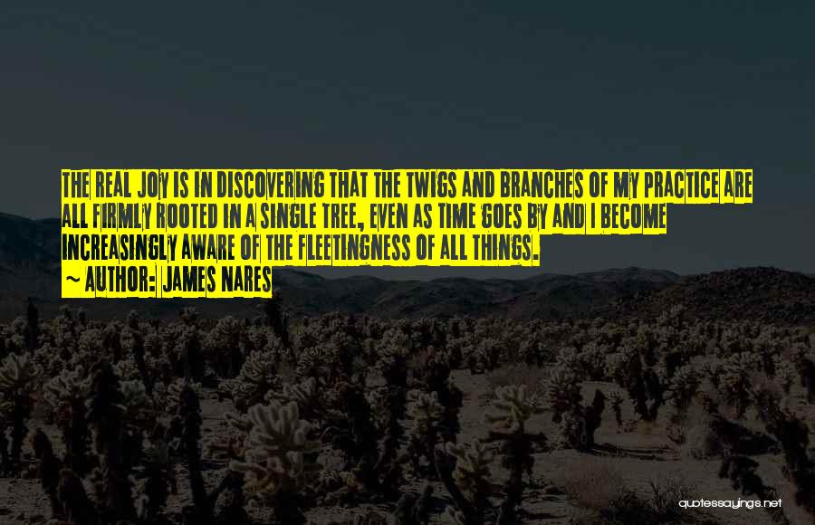 James Nares Quotes: The Real Joy Is In Discovering That The Twigs And Branches Of My Practice Are All Firmly Rooted In A