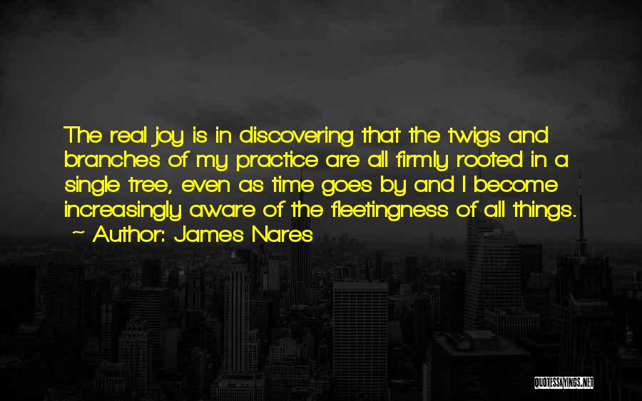 James Nares Quotes: The Real Joy Is In Discovering That The Twigs And Branches Of My Practice Are All Firmly Rooted In A