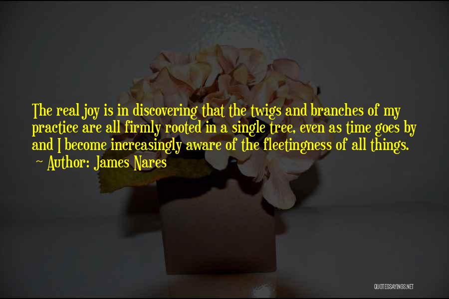 James Nares Quotes: The Real Joy Is In Discovering That The Twigs And Branches Of My Practice Are All Firmly Rooted In A