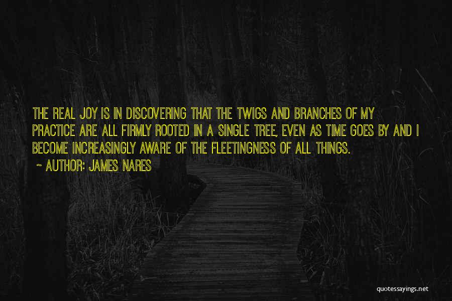 James Nares Quotes: The Real Joy Is In Discovering That The Twigs And Branches Of My Practice Are All Firmly Rooted In A