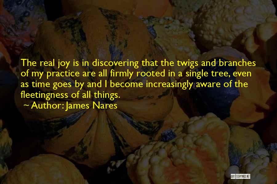 James Nares Quotes: The Real Joy Is In Discovering That The Twigs And Branches Of My Practice Are All Firmly Rooted In A