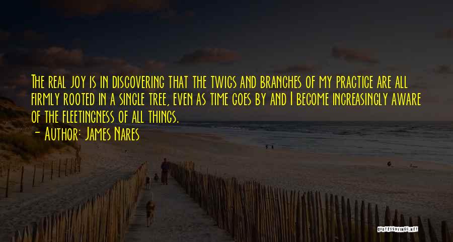 James Nares Quotes: The Real Joy Is In Discovering That The Twigs And Branches Of My Practice Are All Firmly Rooted In A