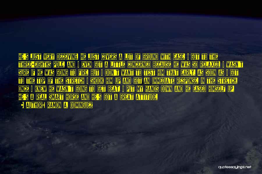 Ramon A. Dominguez Quotes: He's Just Very Deceiving. He Just Covers A Lot Of Ground With Ease. I Got To The Three-eighths Pole, And