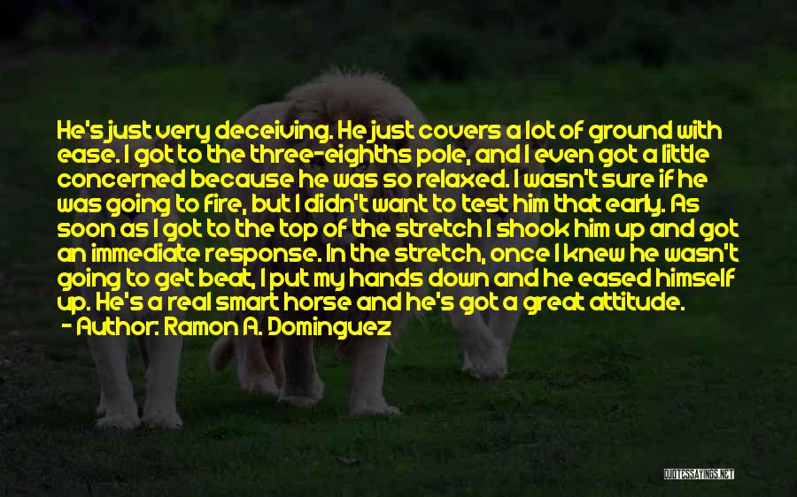 Ramon A. Dominguez Quotes: He's Just Very Deceiving. He Just Covers A Lot Of Ground With Ease. I Got To The Three-eighths Pole, And