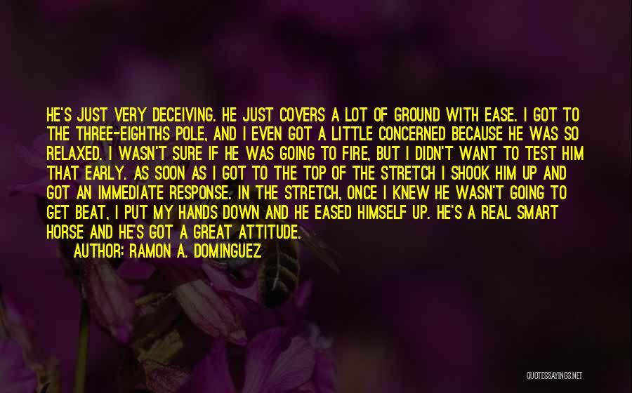 Ramon A. Dominguez Quotes: He's Just Very Deceiving. He Just Covers A Lot Of Ground With Ease. I Got To The Three-eighths Pole, And