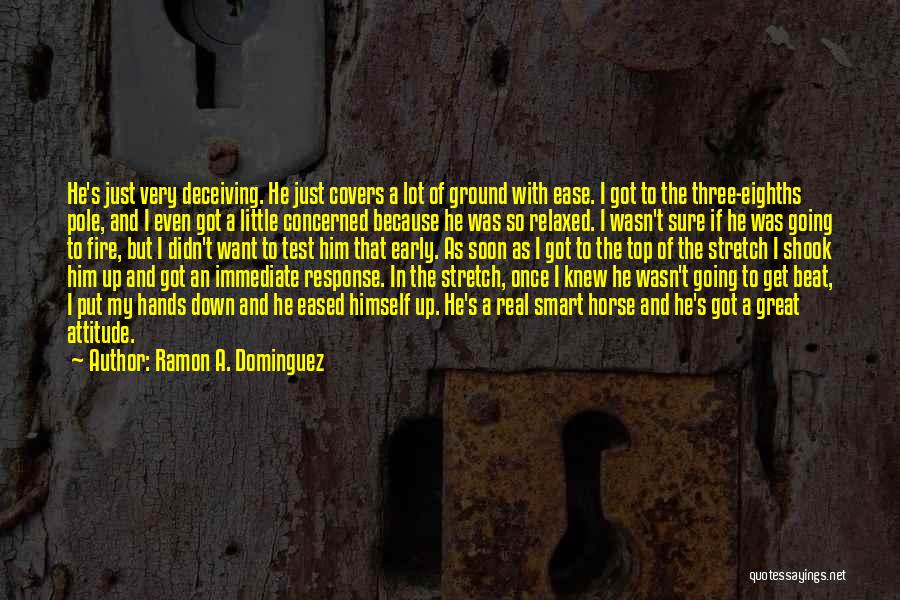 Ramon A. Dominguez Quotes: He's Just Very Deceiving. He Just Covers A Lot Of Ground With Ease. I Got To The Three-eighths Pole, And