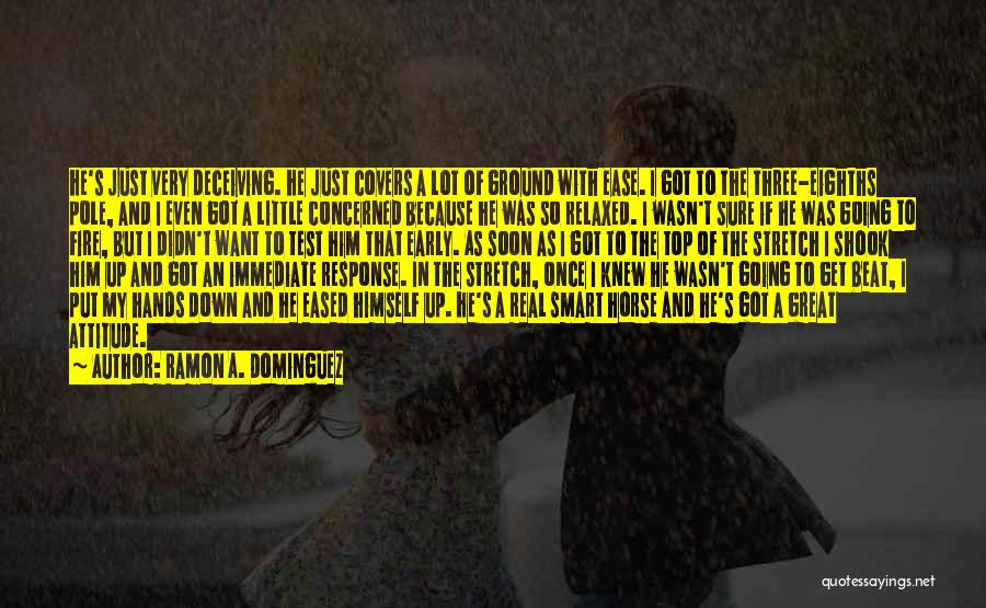 Ramon A. Dominguez Quotes: He's Just Very Deceiving. He Just Covers A Lot Of Ground With Ease. I Got To The Three-eighths Pole, And