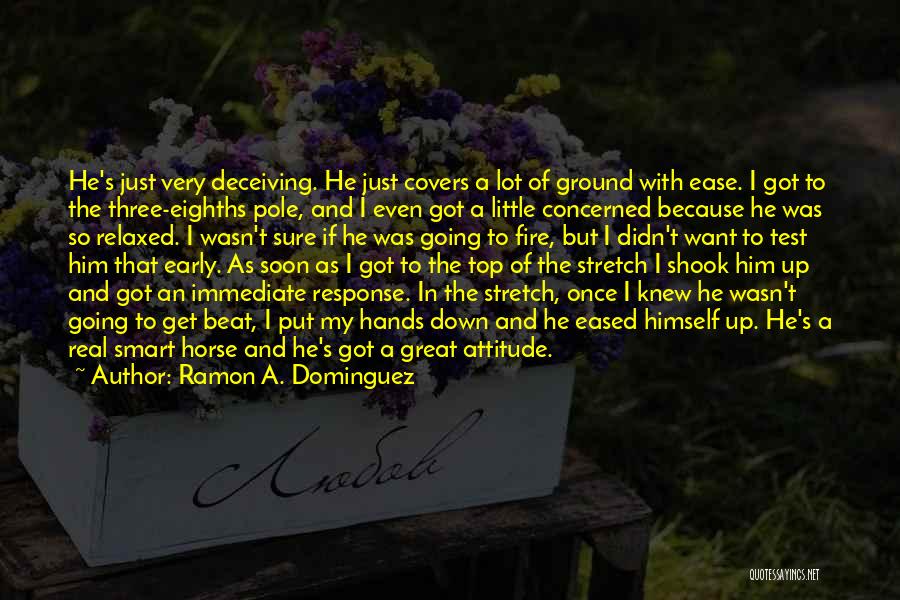 Ramon A. Dominguez Quotes: He's Just Very Deceiving. He Just Covers A Lot Of Ground With Ease. I Got To The Three-eighths Pole, And