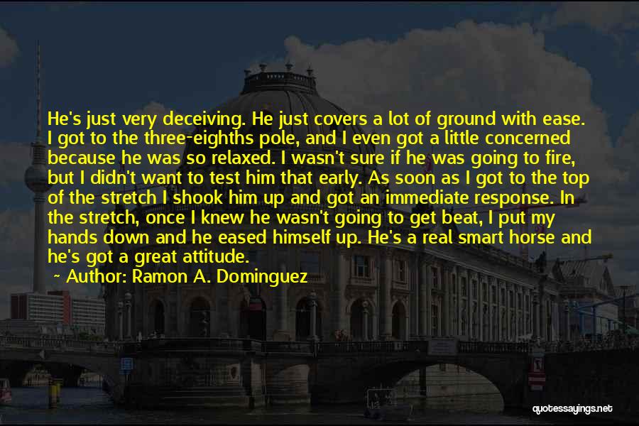 Ramon A. Dominguez Quotes: He's Just Very Deceiving. He Just Covers A Lot Of Ground With Ease. I Got To The Three-eighths Pole, And