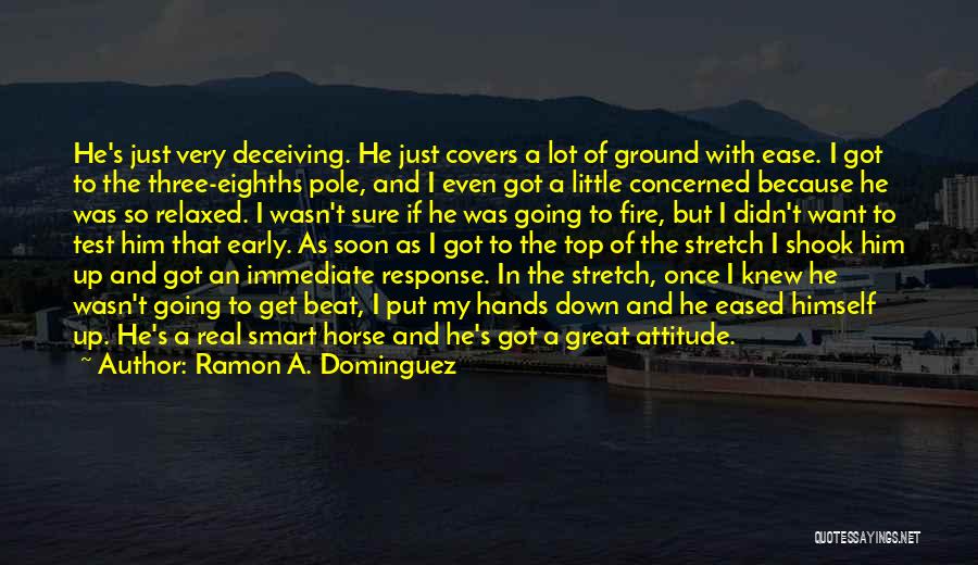 Ramon A. Dominguez Quotes: He's Just Very Deceiving. He Just Covers A Lot Of Ground With Ease. I Got To The Three-eighths Pole, And