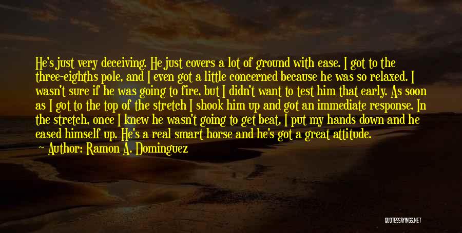 Ramon A. Dominguez Quotes: He's Just Very Deceiving. He Just Covers A Lot Of Ground With Ease. I Got To The Three-eighths Pole, And