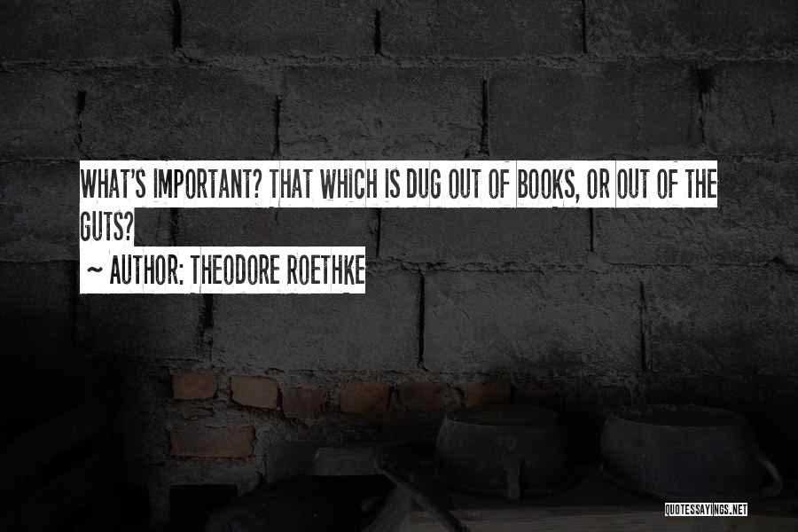 Theodore Roethke Quotes: What's Important? That Which Is Dug Out Of Books, Or Out Of The Guts?