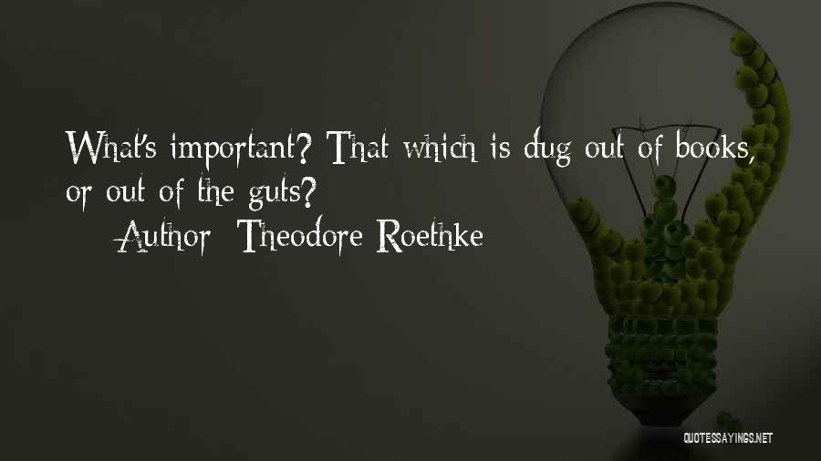 Theodore Roethke Quotes: What's Important? That Which Is Dug Out Of Books, Or Out Of The Guts?