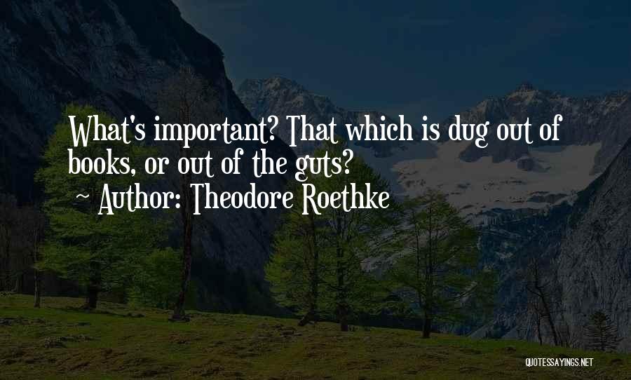 Theodore Roethke Quotes: What's Important? That Which Is Dug Out Of Books, Or Out Of The Guts?