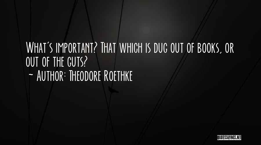 Theodore Roethke Quotes: What's Important? That Which Is Dug Out Of Books, Or Out Of The Guts?