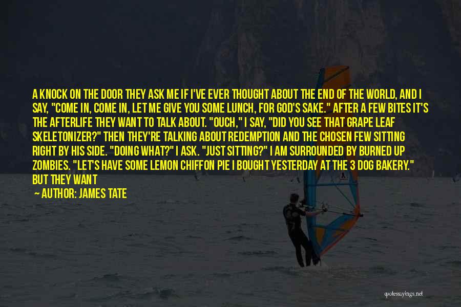 James Tate Quotes: A Knock On The Door They Ask Me If I've Ever Thought About The End Of The World, And I