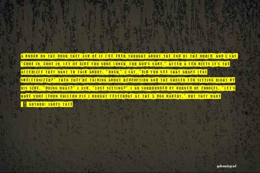 James Tate Quotes: A Knock On The Door They Ask Me If I've Ever Thought About The End Of The World, And I