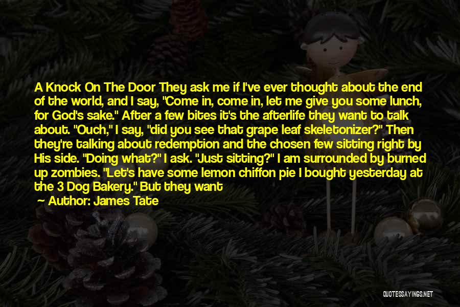 James Tate Quotes: A Knock On The Door They Ask Me If I've Ever Thought About The End Of The World, And I