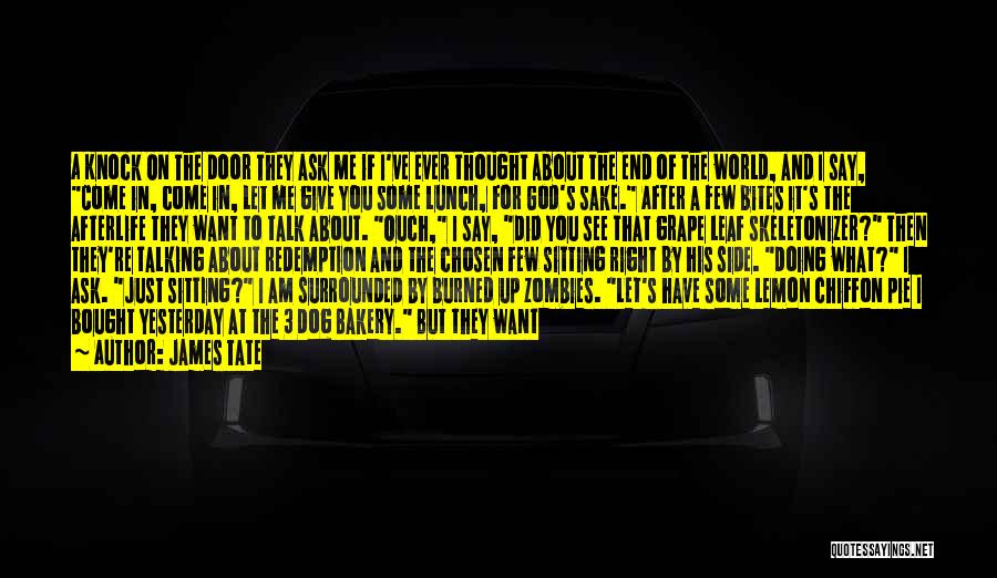 James Tate Quotes: A Knock On The Door They Ask Me If I've Ever Thought About The End Of The World, And I