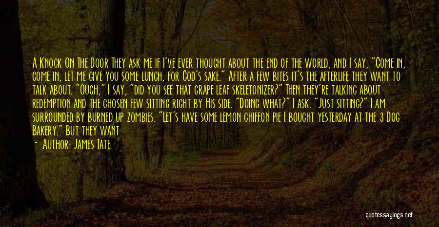James Tate Quotes: A Knock On The Door They Ask Me If I've Ever Thought About The End Of The World, And I
