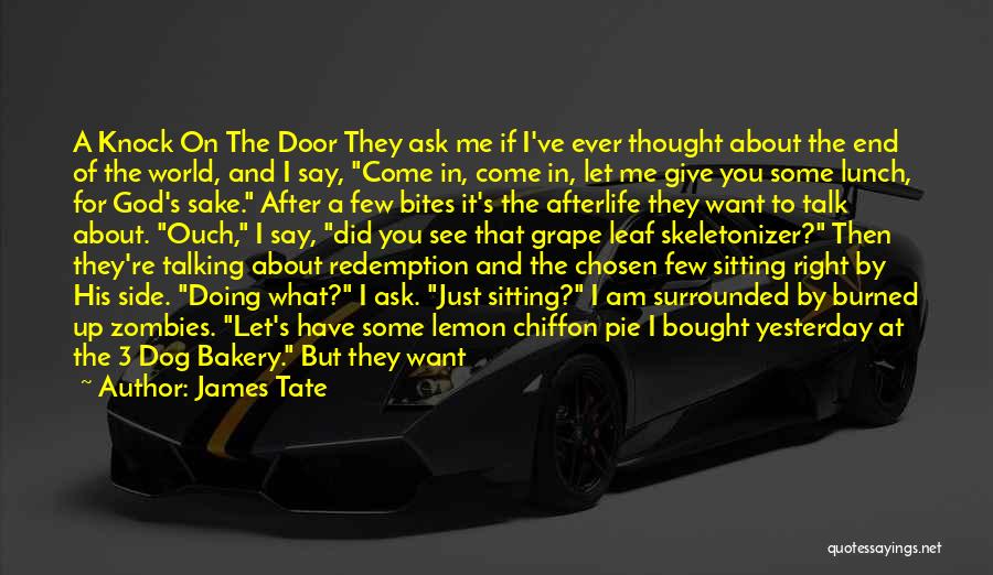 James Tate Quotes: A Knock On The Door They Ask Me If I've Ever Thought About The End Of The World, And I