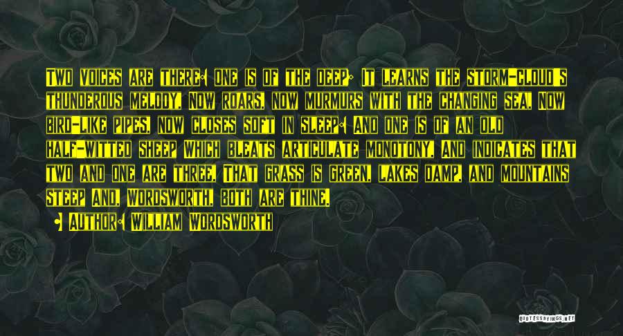 William Wordsworth Quotes: Two Voices Are There: One Is Of The Deep; It Learns The Storm-cloud's Thunderous Melody, Now Roars, Now Murmurs With