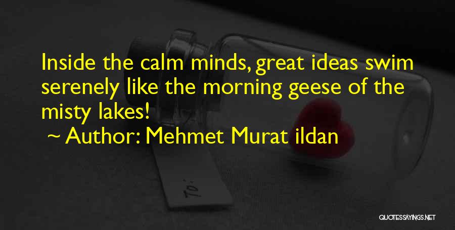Mehmet Murat Ildan Quotes: Inside The Calm Minds, Great Ideas Swim Serenely Like The Morning Geese Of The Misty Lakes!