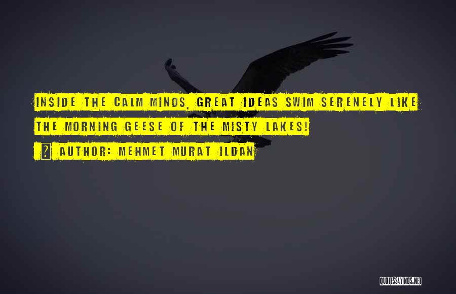 Mehmet Murat Ildan Quotes: Inside The Calm Minds, Great Ideas Swim Serenely Like The Morning Geese Of The Misty Lakes!