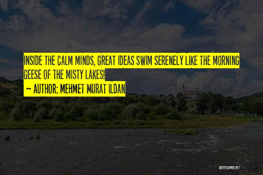 Mehmet Murat Ildan Quotes: Inside The Calm Minds, Great Ideas Swim Serenely Like The Morning Geese Of The Misty Lakes!