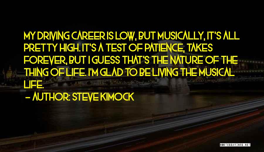 Steve Kimock Quotes: My Driving Career Is Low, But Musically, It's All Pretty High. It's A Test Of Patience, Takes Forever, But I
