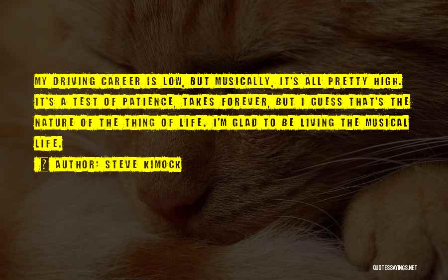 Steve Kimock Quotes: My Driving Career Is Low, But Musically, It's All Pretty High. It's A Test Of Patience, Takes Forever, But I