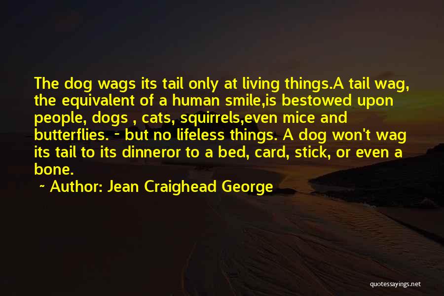 Jean Craighead George Quotes: The Dog Wags Its Tail Only At Living Things.a Tail Wag, The Equivalent Of A Human Smile,is Bestowed Upon People,