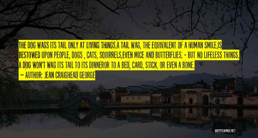 Jean Craighead George Quotes: The Dog Wags Its Tail Only At Living Things.a Tail Wag, The Equivalent Of A Human Smile,is Bestowed Upon People,