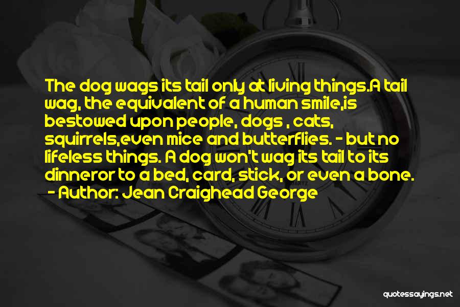 Jean Craighead George Quotes: The Dog Wags Its Tail Only At Living Things.a Tail Wag, The Equivalent Of A Human Smile,is Bestowed Upon People,