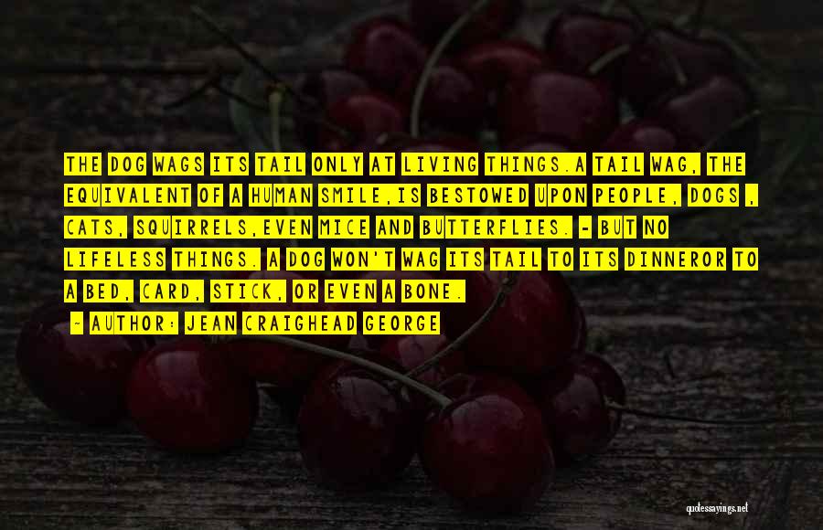 Jean Craighead George Quotes: The Dog Wags Its Tail Only At Living Things.a Tail Wag, The Equivalent Of A Human Smile,is Bestowed Upon People,