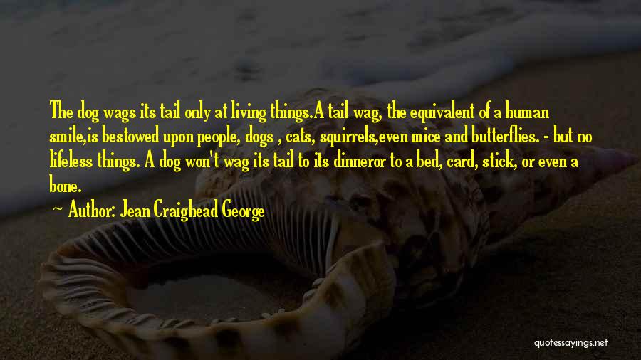 Jean Craighead George Quotes: The Dog Wags Its Tail Only At Living Things.a Tail Wag, The Equivalent Of A Human Smile,is Bestowed Upon People,