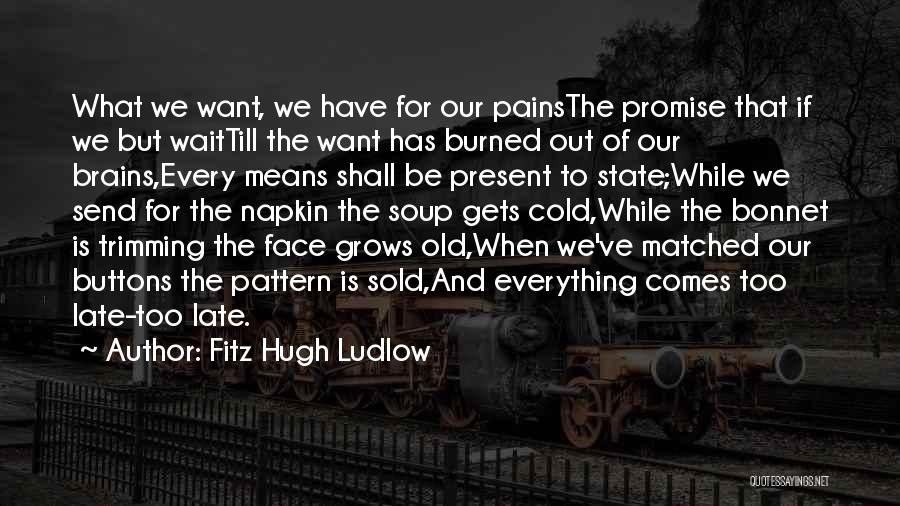 Fitz Hugh Ludlow Quotes: What We Want, We Have For Our Painsthe Promise That If We But Waittill The Want Has Burned Out Of