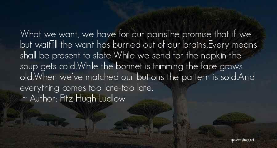 Fitz Hugh Ludlow Quotes: What We Want, We Have For Our Painsthe Promise That If We But Waittill The Want Has Burned Out Of