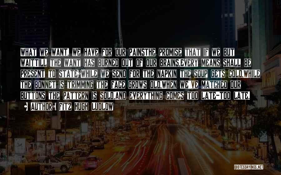 Fitz Hugh Ludlow Quotes: What We Want, We Have For Our Painsthe Promise That If We But Waittill The Want Has Burned Out Of