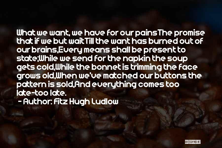 Fitz Hugh Ludlow Quotes: What We Want, We Have For Our Painsthe Promise That If We But Waittill The Want Has Burned Out Of